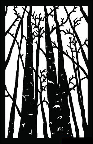 Wall Art - Aspen Trees